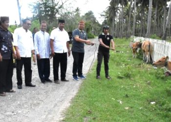 Roni Sampir Serahkan Bantuan Ternak Sapi