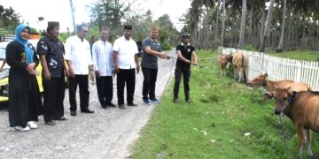 Roni Sampir Serahkan Bantuan Ternak Sapi