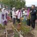 Bupati Gorontalo Resmikan Kampung Wisata Herbal