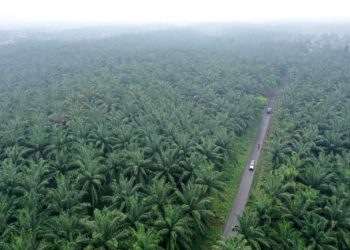 PT. Loka Indah Lestari Berdampak Pada Perekonomian dan Pembangunan di Pohuwato