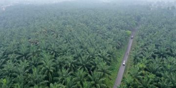 PT. Loka Indah Lestari Berdampak Pada Perekonomian dan Pembangunan di Pohuwato