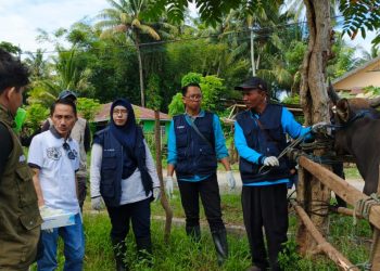 Bupati Nelson Tinjau Langsung Pemeriksaan Hewan