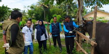 Bupati Nelson Tinjau Langsung Pemeriksaan Hewan