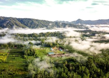 PT. Loka Indah Lestari Berkomitmen Untuk Selalu Berkontribusi Positif  Membangun Ekonomi Masyarakat di Wilayah Operasional