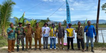 Mendukung Ketahanan Pangan Nasional, Koramil Boliyohuto Tanam Padi Jenis Varietas Semeru