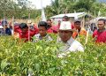 Program MBG Serap Hasil Panen, Ketua DPW Tani : Roda Ekonomi Desa Ikut Tumbuh