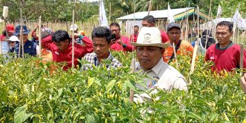 Program MBG Serap Hasil Panen, Ketua DPW Tani : Roda Ekonomi Desa Ikut Tumbuh